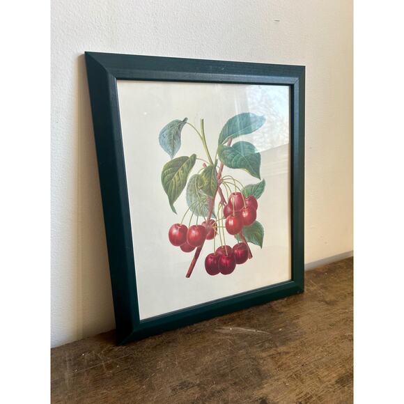 Vintage Cherry Botanical Print in Dark Green Frame | Cottagecore Prairiecore - Picture 2 of 5